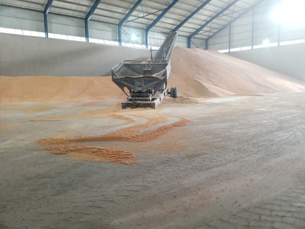 Brazilian Yellow Corn – Animal Feed Grade (GMO)