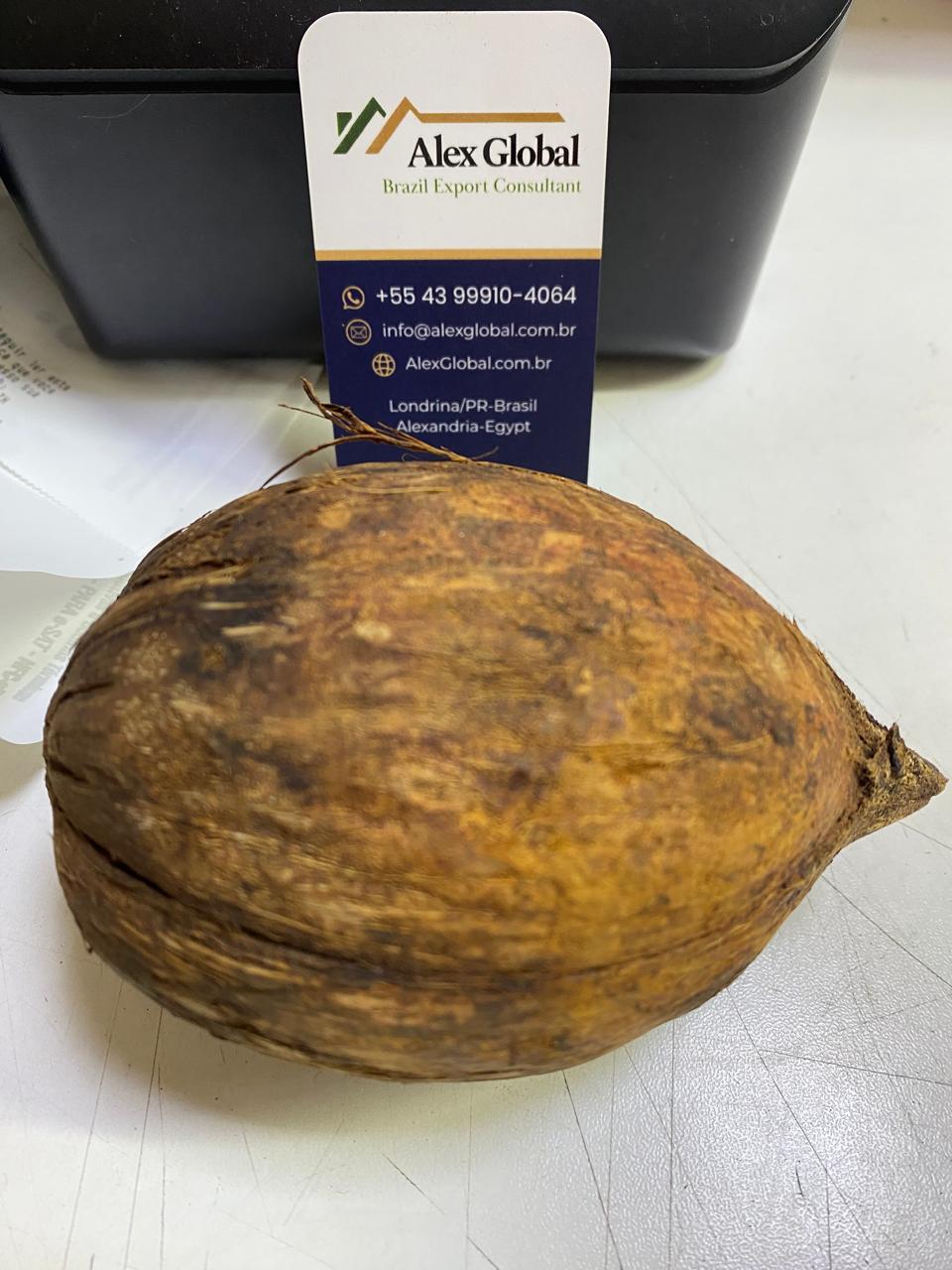 Natural Piassava / Coco