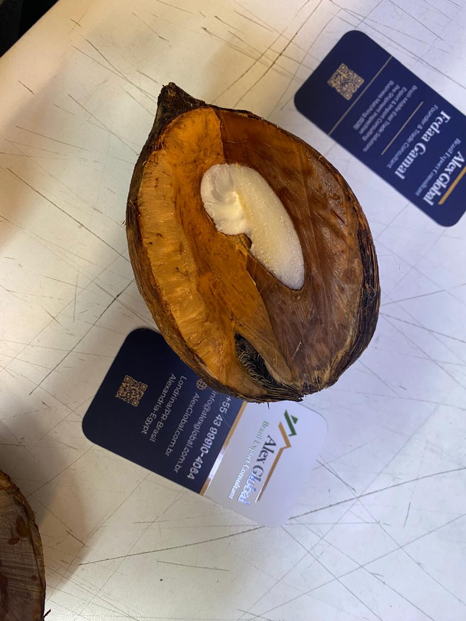 Natural Piassava / Coco