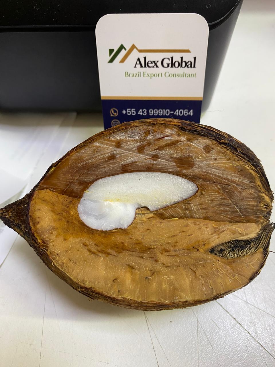 Natural Piassava / Coco