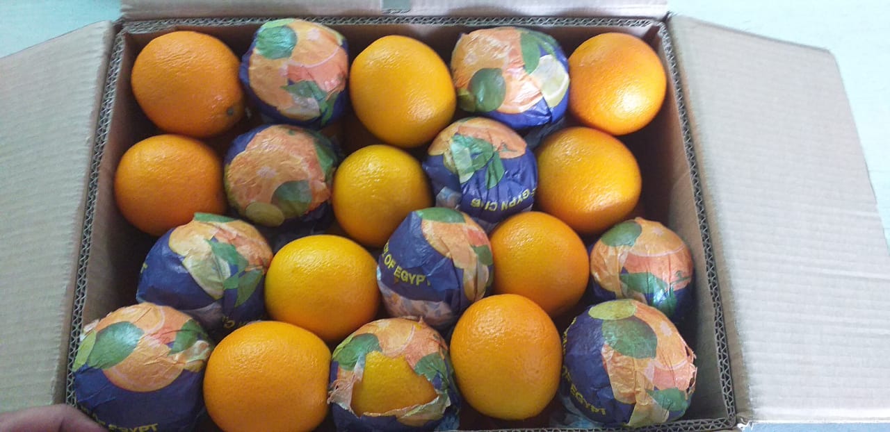Egyptian Oranges