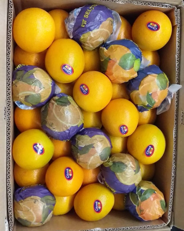 Egyptian Oranges