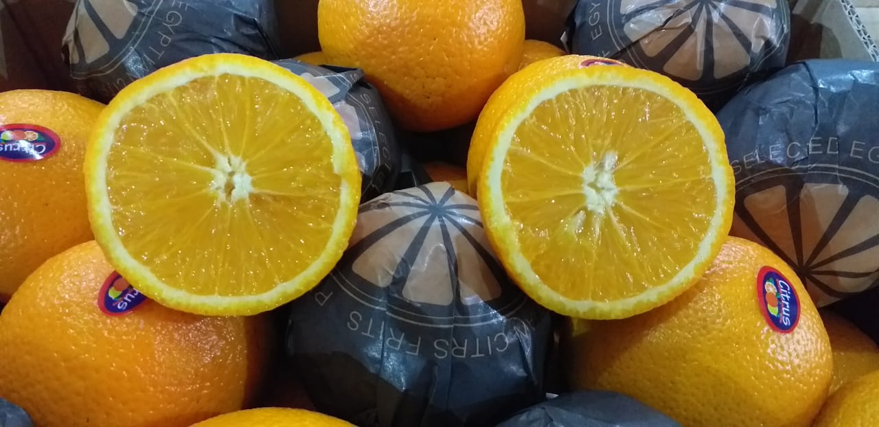Egyptian Oranges