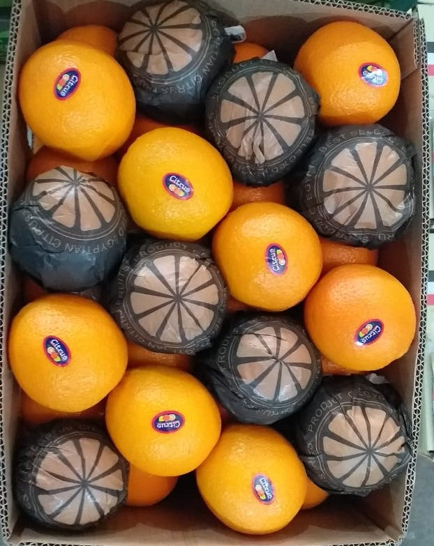 Egyptian Oranges