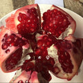 Egyptian Pomegranate