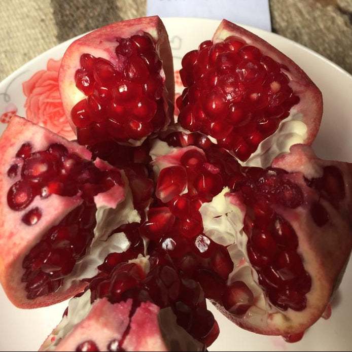 Egyptian Pomegranate