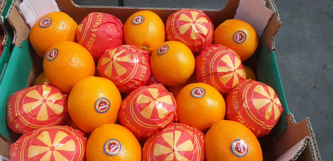 Egyptian Oranges