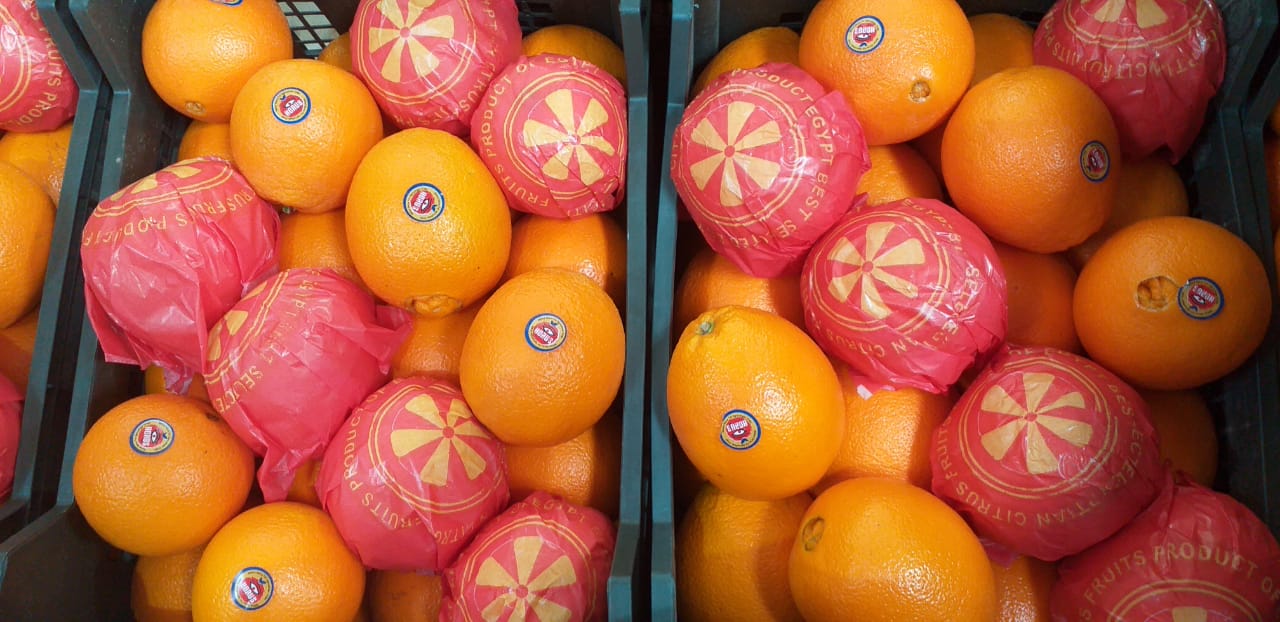 Egyptian Oranges
