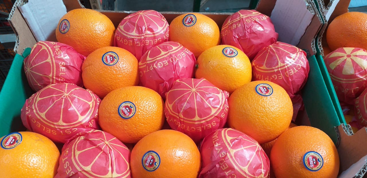 Egyptian Oranges