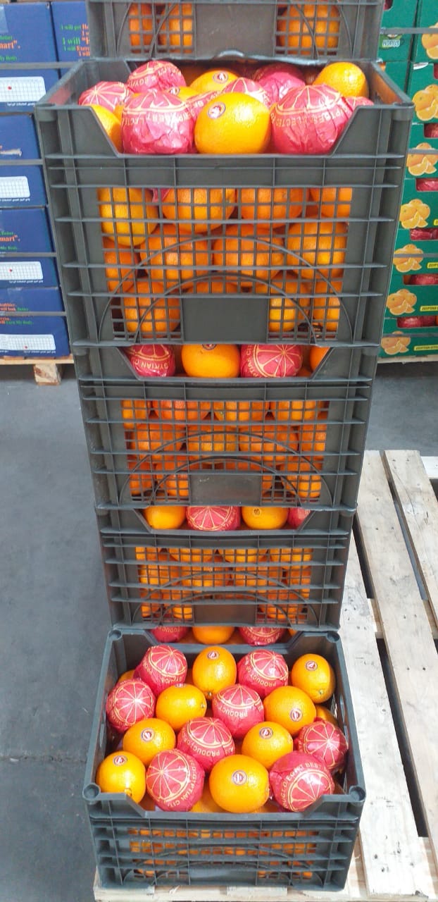 Egyptian Oranges