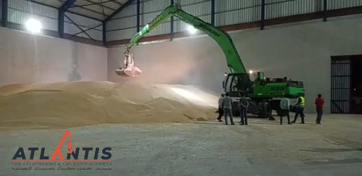 Brazilian Yellow Corn – Animal Feed Grade (GMO)
