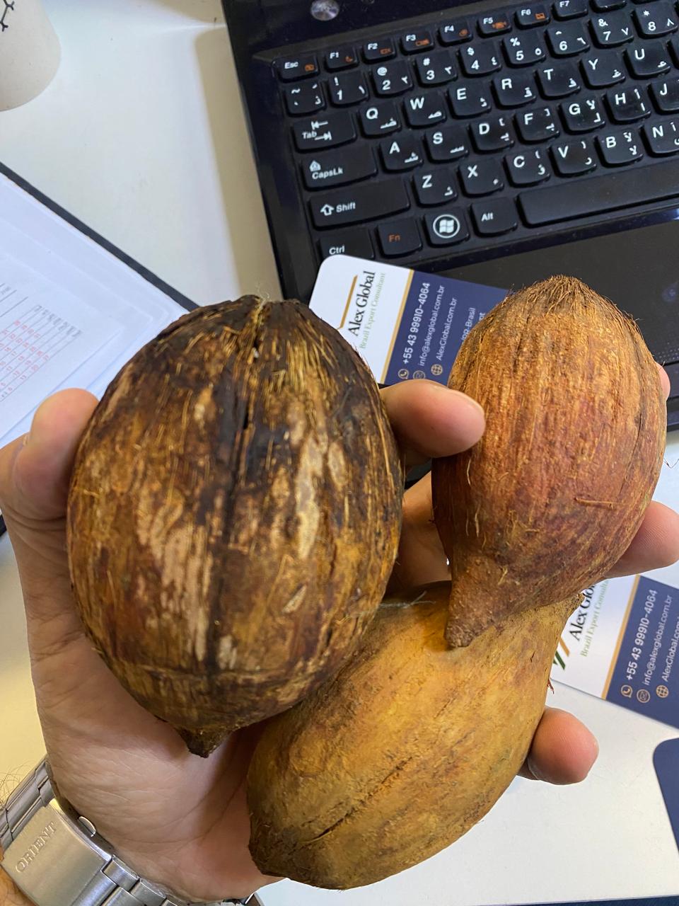 Natural Piassava / Coco