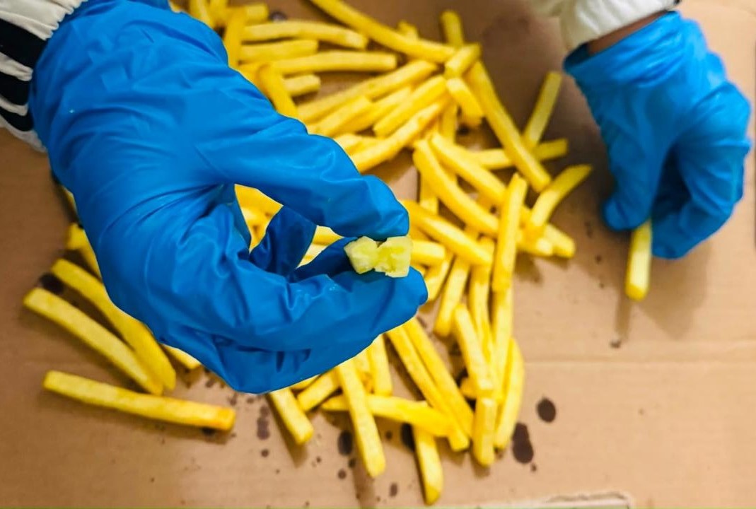 Frozen French Fries