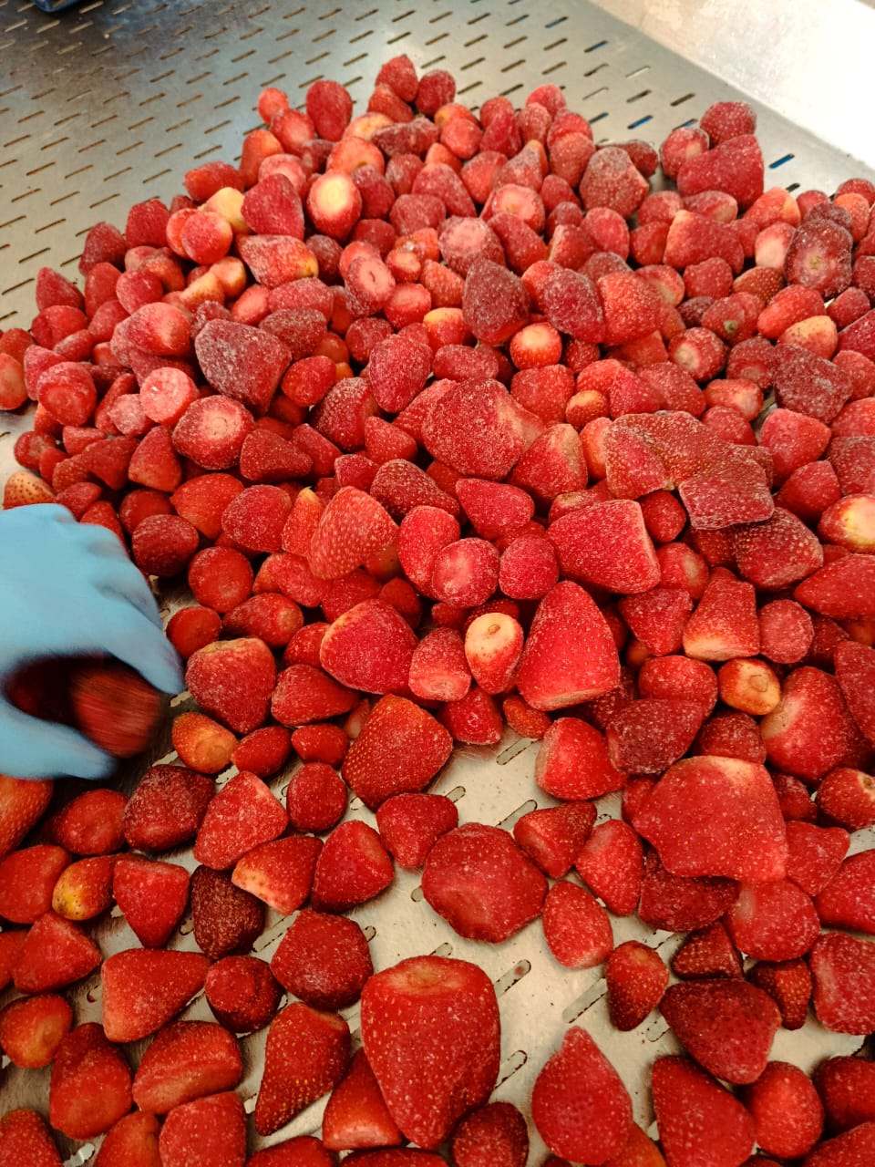 Strawberries Frozen IQF