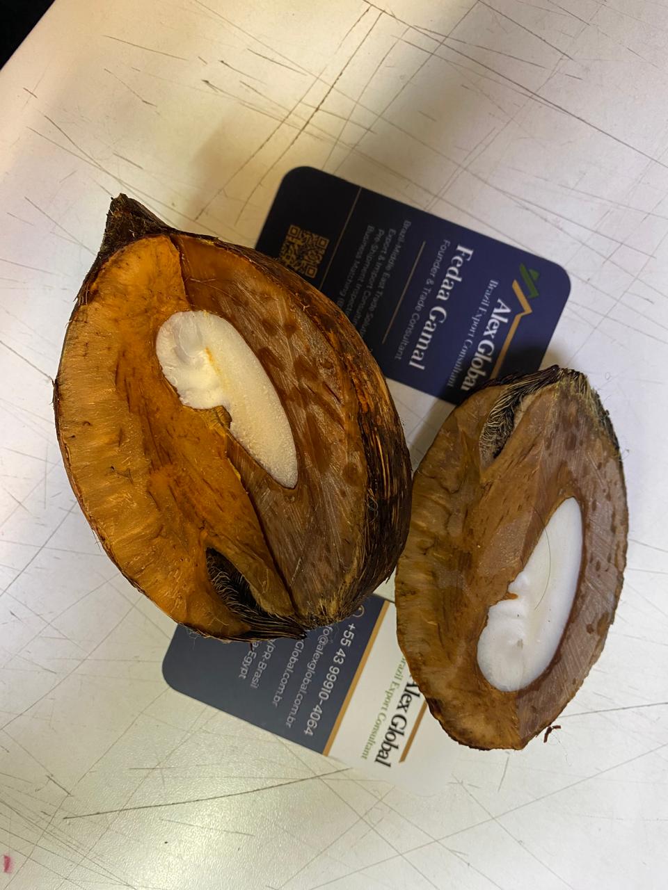 Natural Piassava / Coco