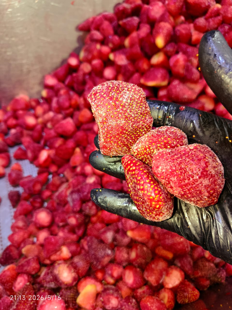 Strawberries Frozen IQF