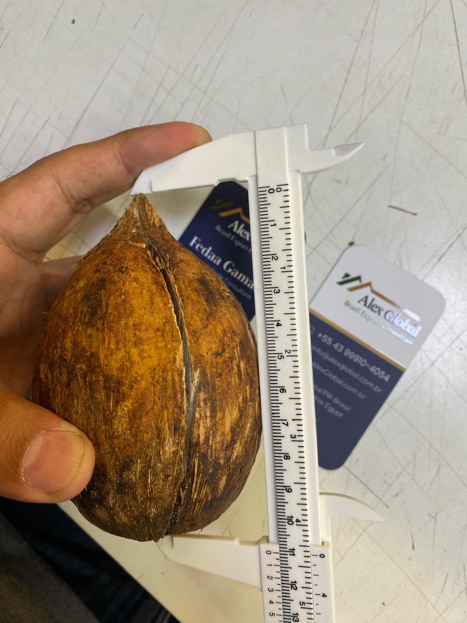 Natural Piassava / Coco