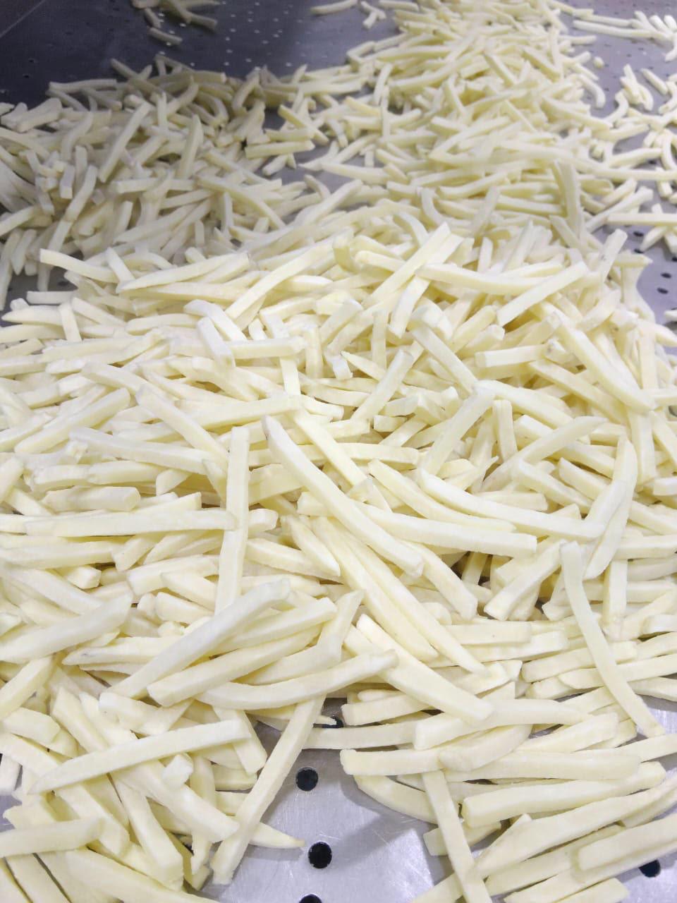 Frozen French Fries